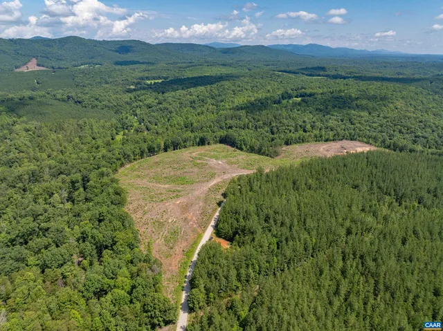 a view of a lush green forest with a building in the back