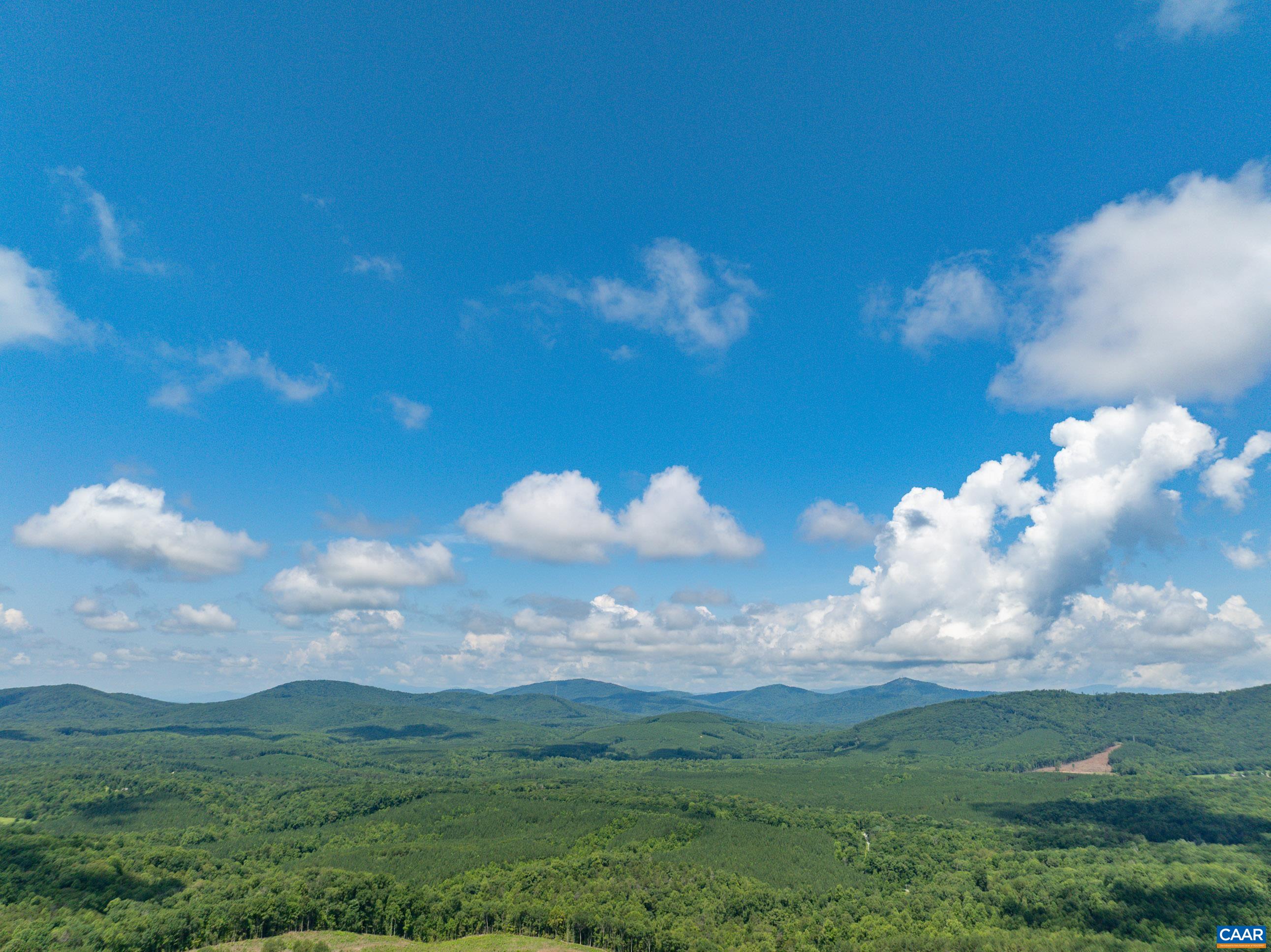 Hunting Lodge Road Schuyler, VA 22969 - Photo 44 of 66 a view of a big yard with lots of trees