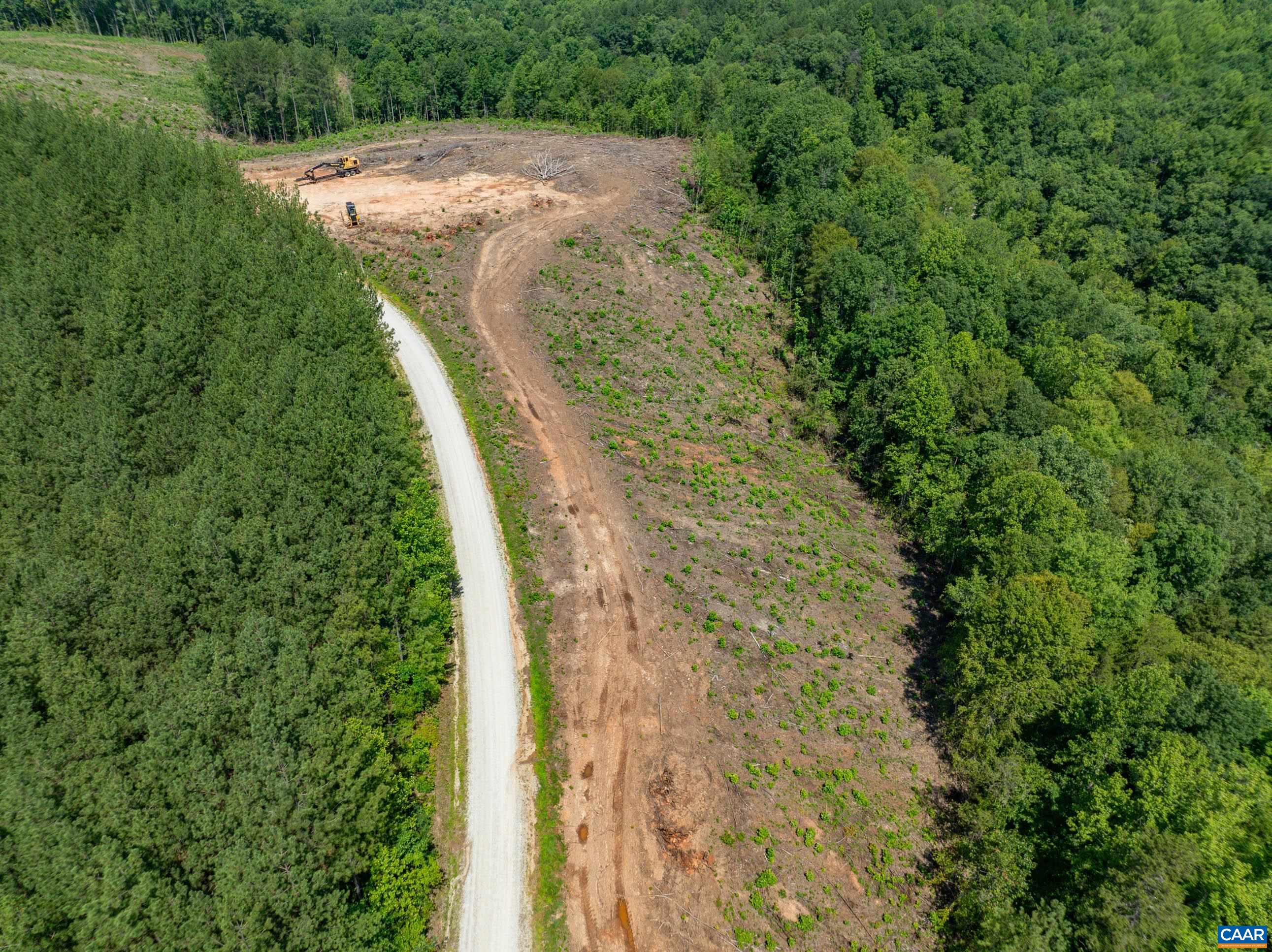 Hunting Lodge Road Schuyler, VA 22969 - Photo 46 of 66 a view of a yard with a small yard and large trees