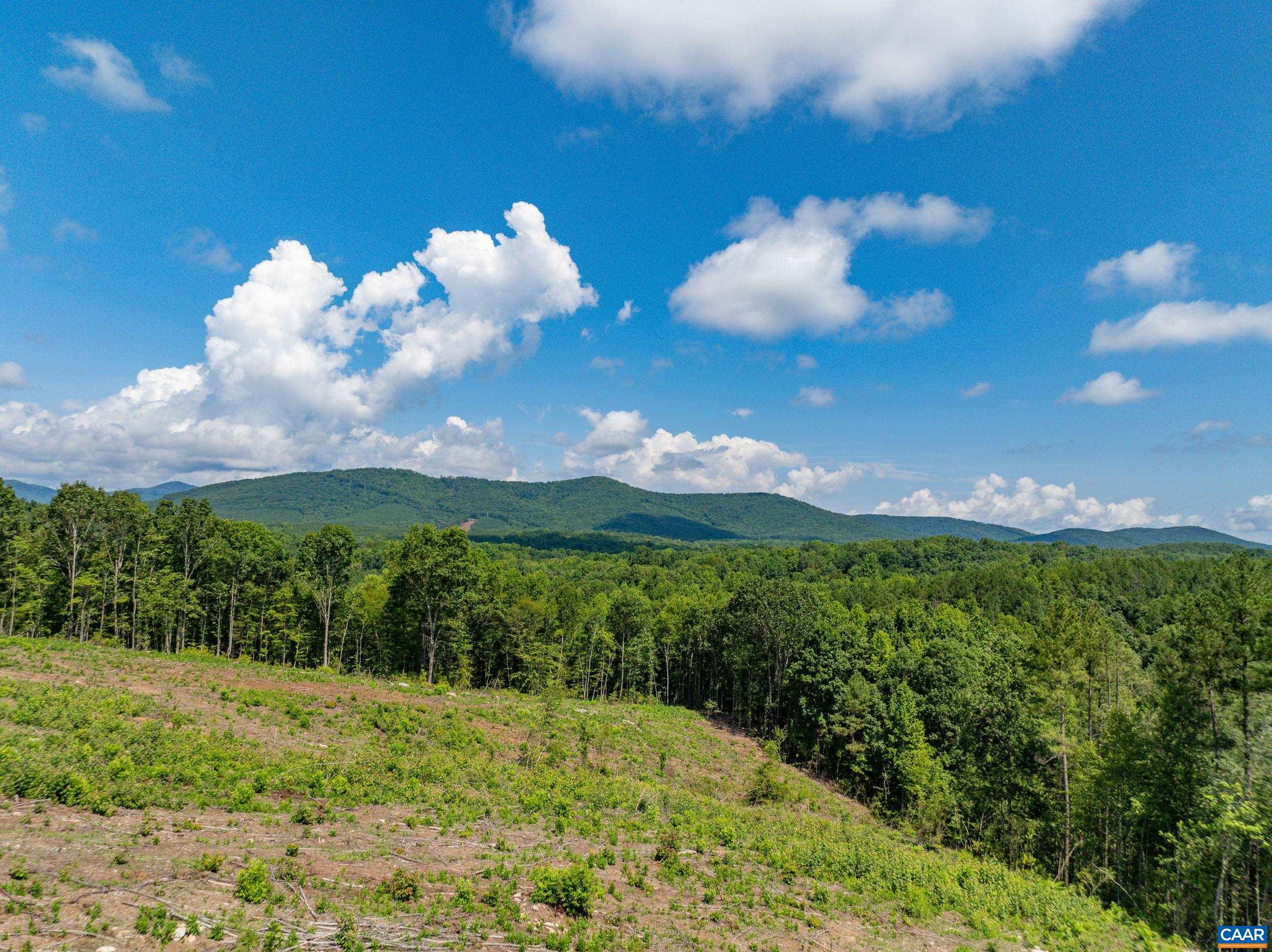 Hunting Lodge Road Schuyler, VA 22969 - Photo 50 of 66 a view of a big yard with lots of green space