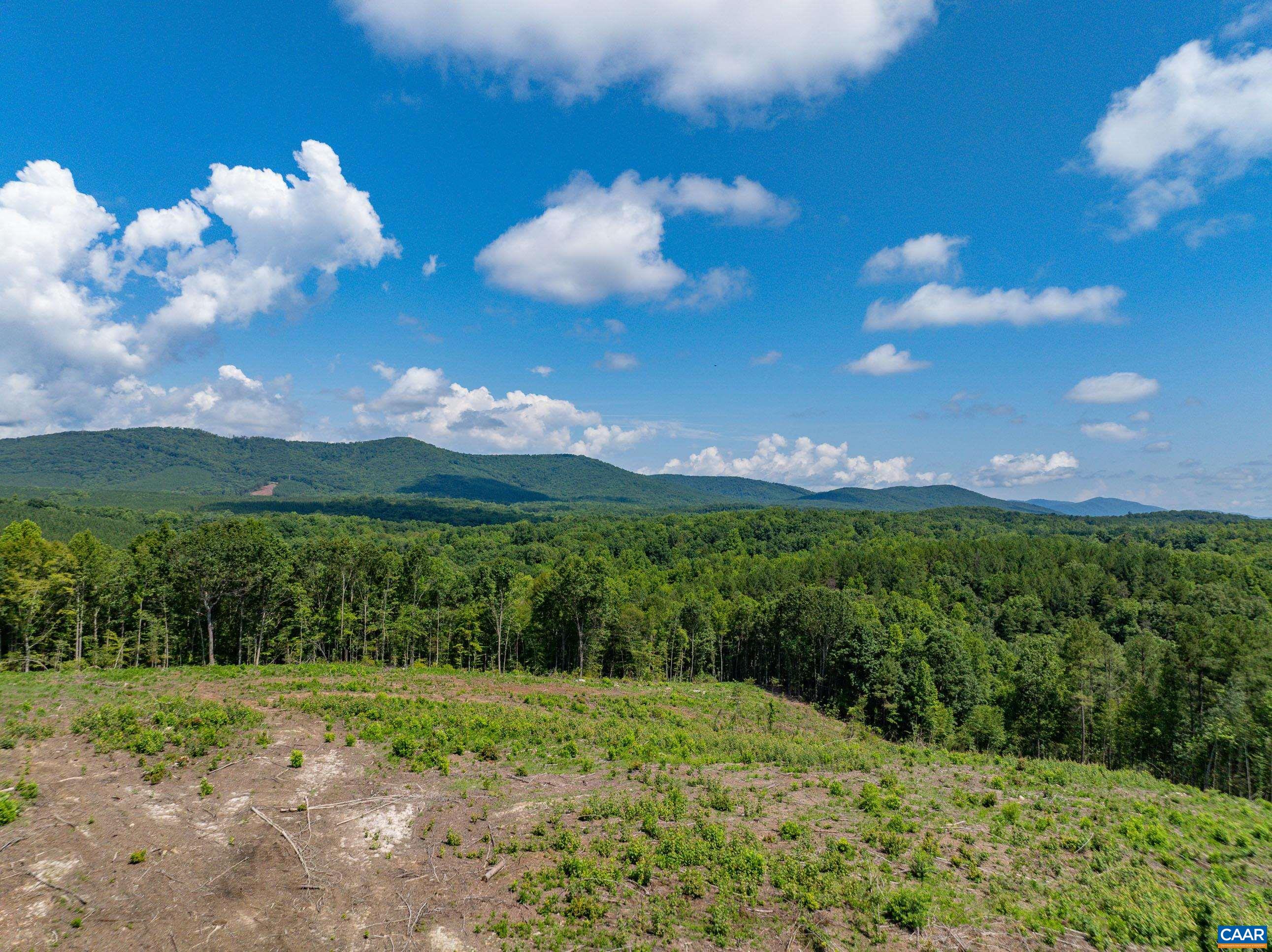Hunting Lodge Road Schuyler, VA 22969 - Photo 51 of 66