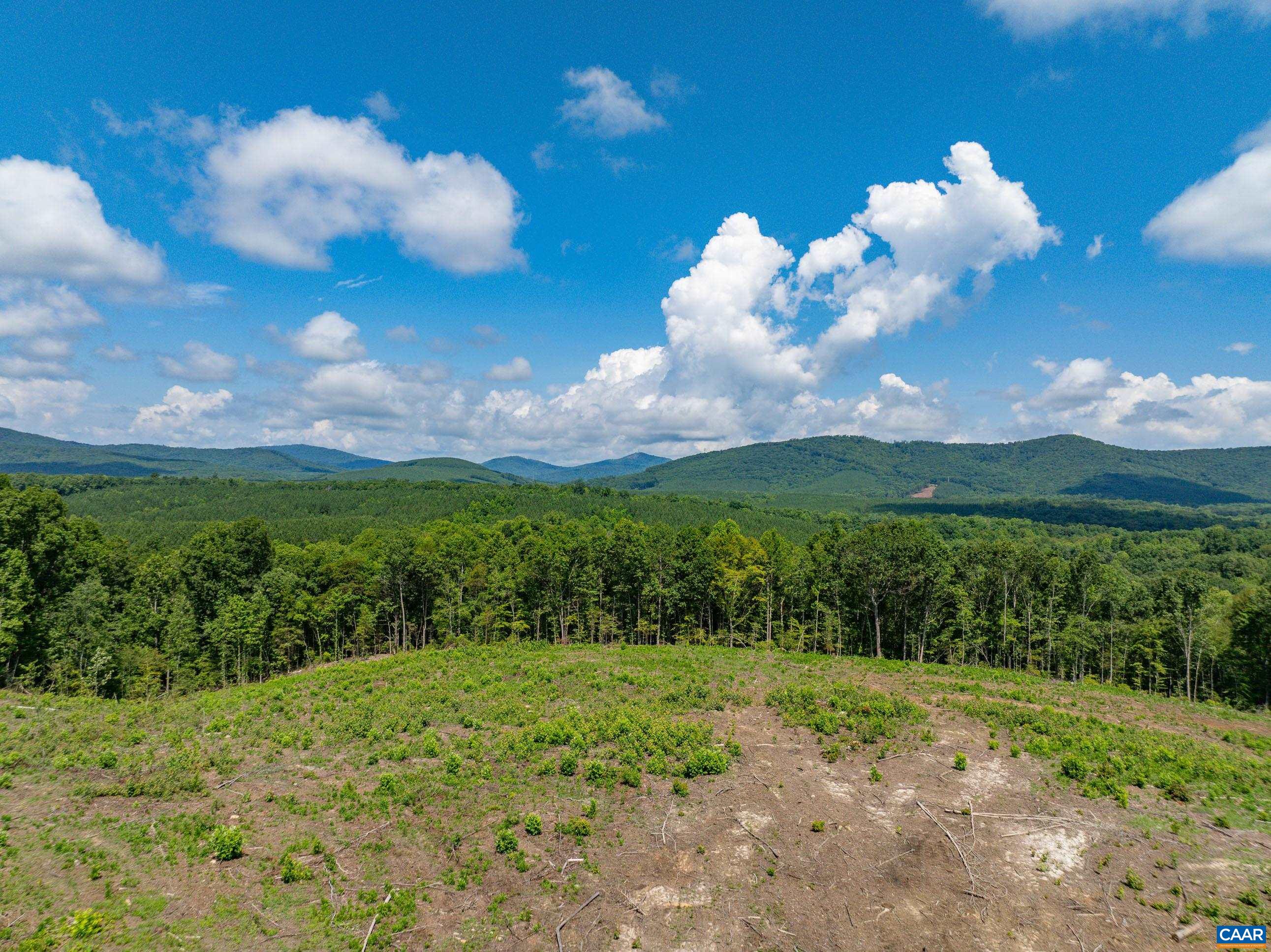 Hunting Lodge Road Schuyler, VA 22969 - Photo 52 of 66 a view of a yard in front of the house