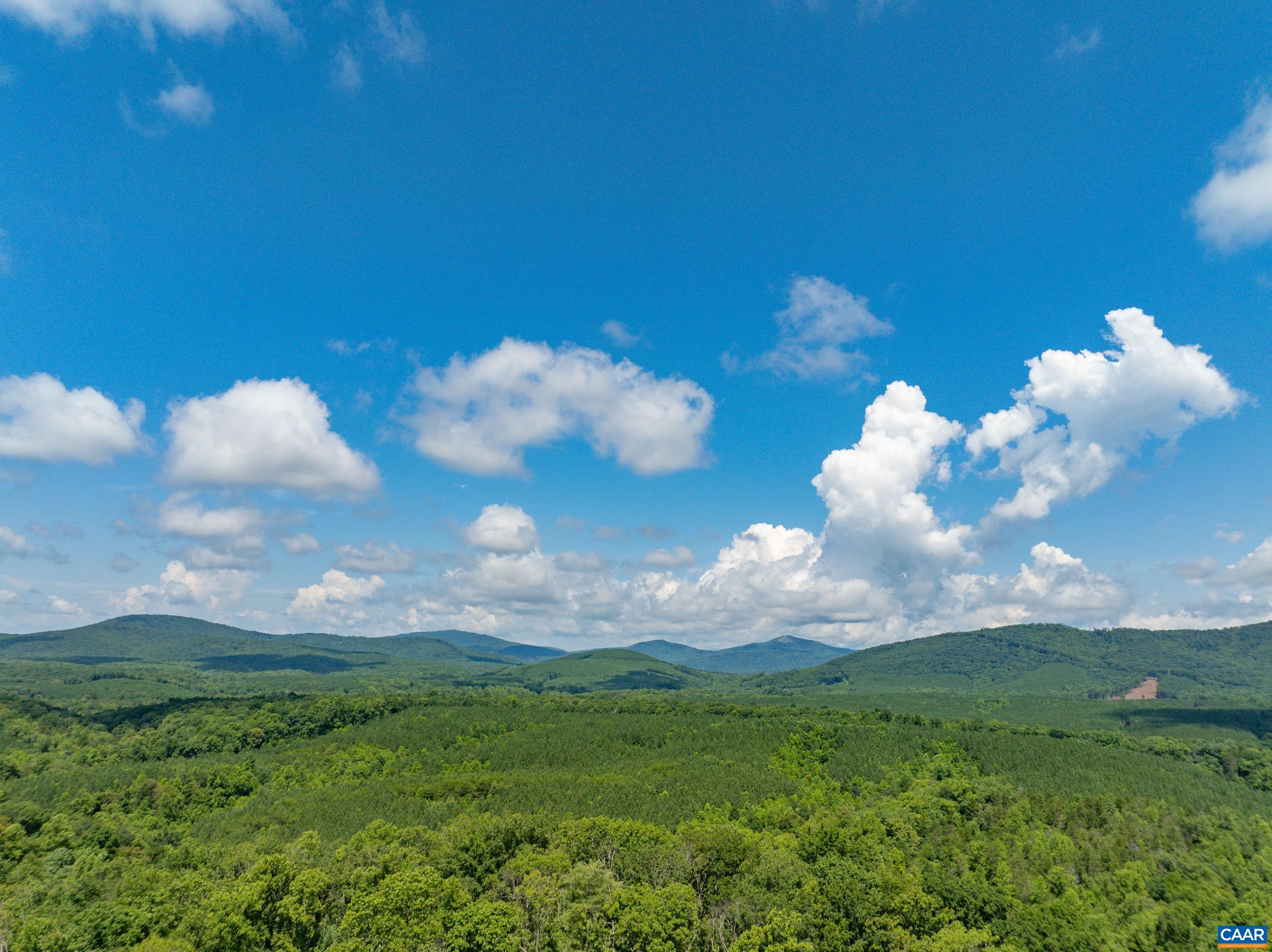 Hunting Lodge Road Schuyler, VA 22969 - Photo 54 of 66 a view of a flower in a garden