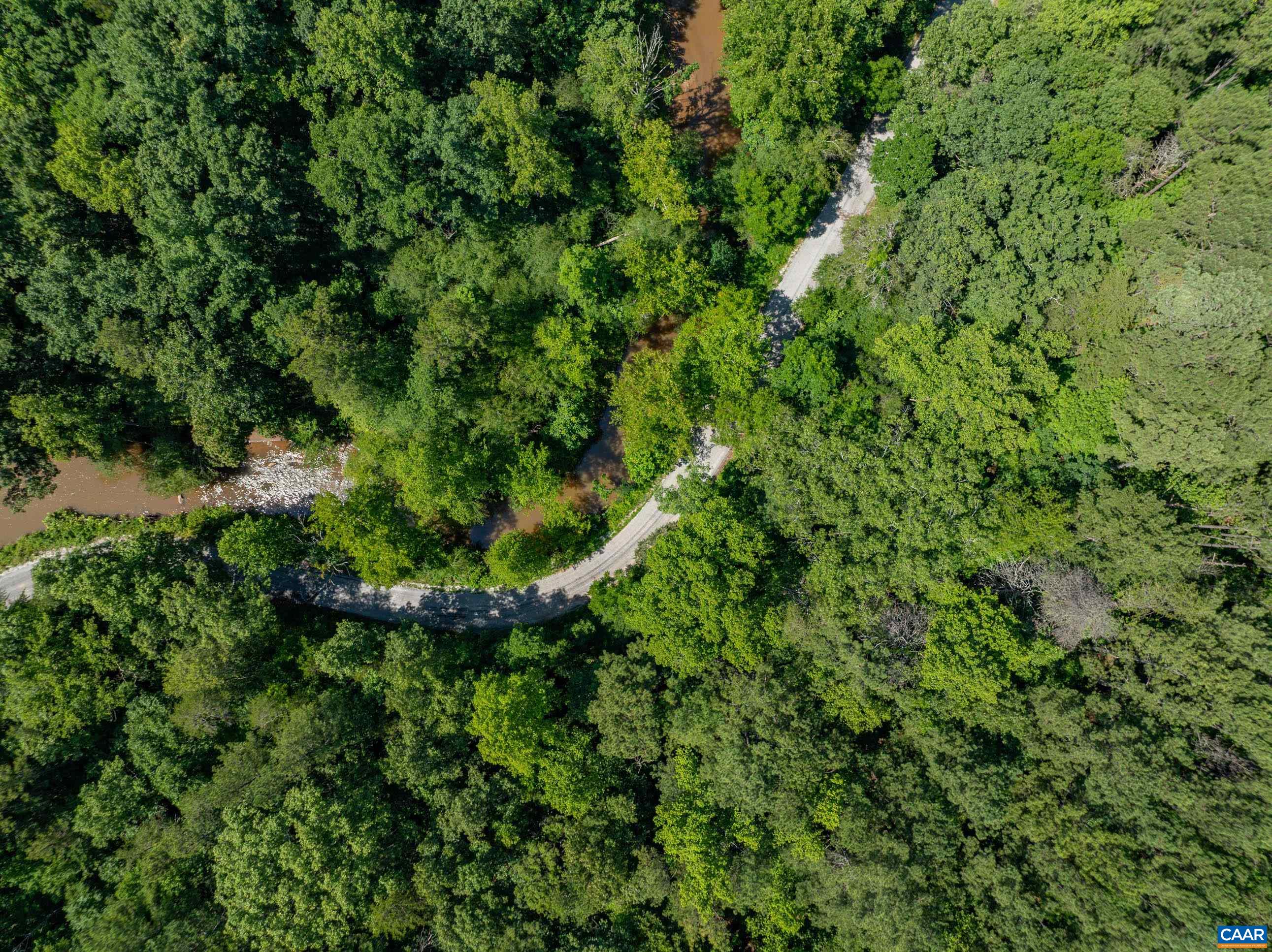 Hunting Lodge Road Schuyler, VA 22969 - Photo 57 of 66 a view of a forest