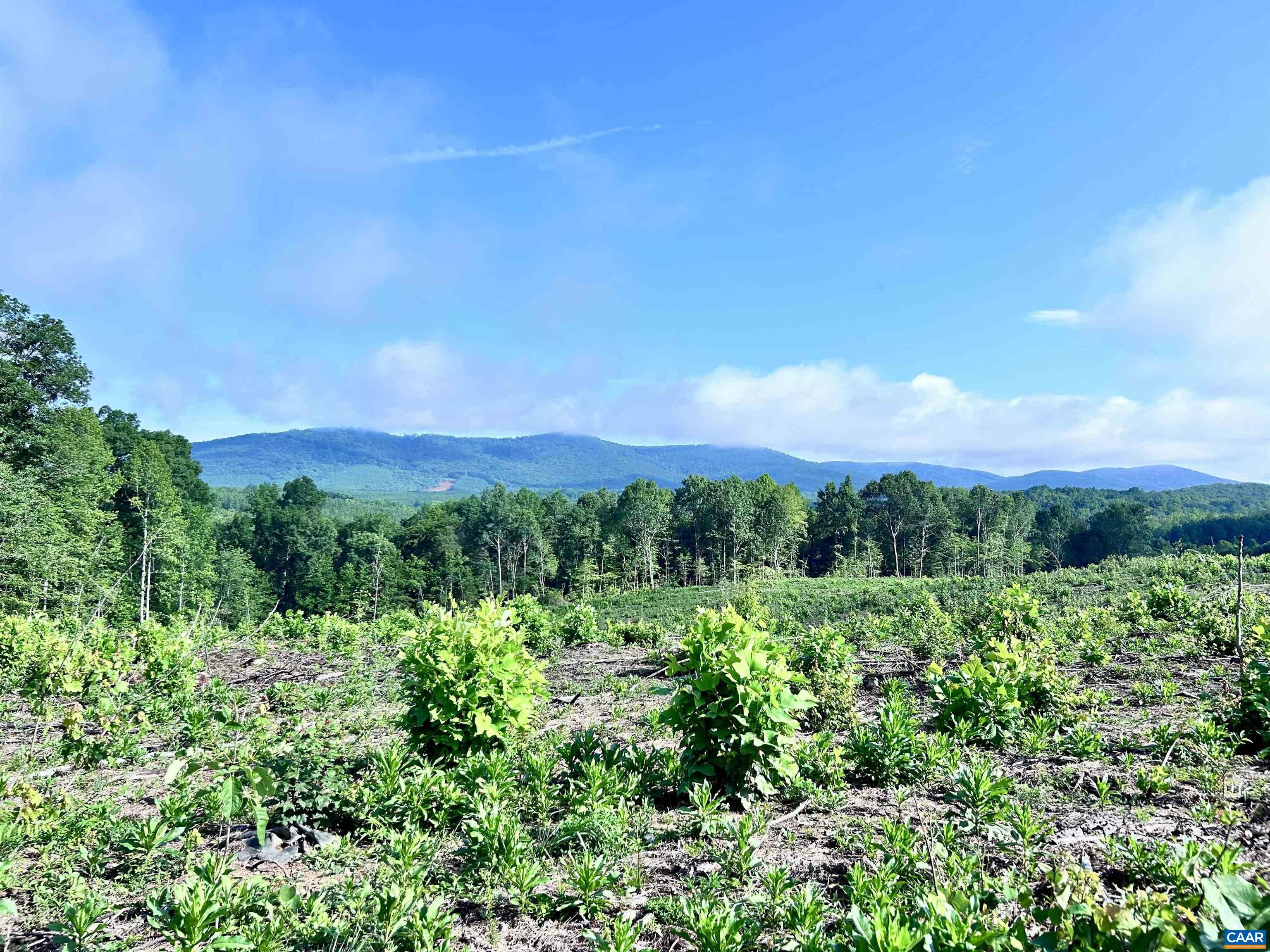 Hunting Lodge Road Schuyler, VA 22969 - Photo 59 of 66