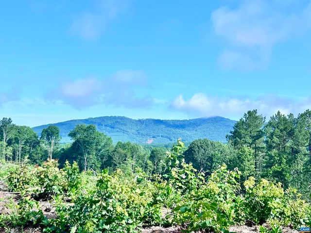 $249,900 | Hunting Lodge Road, Schuyler, VA 22969