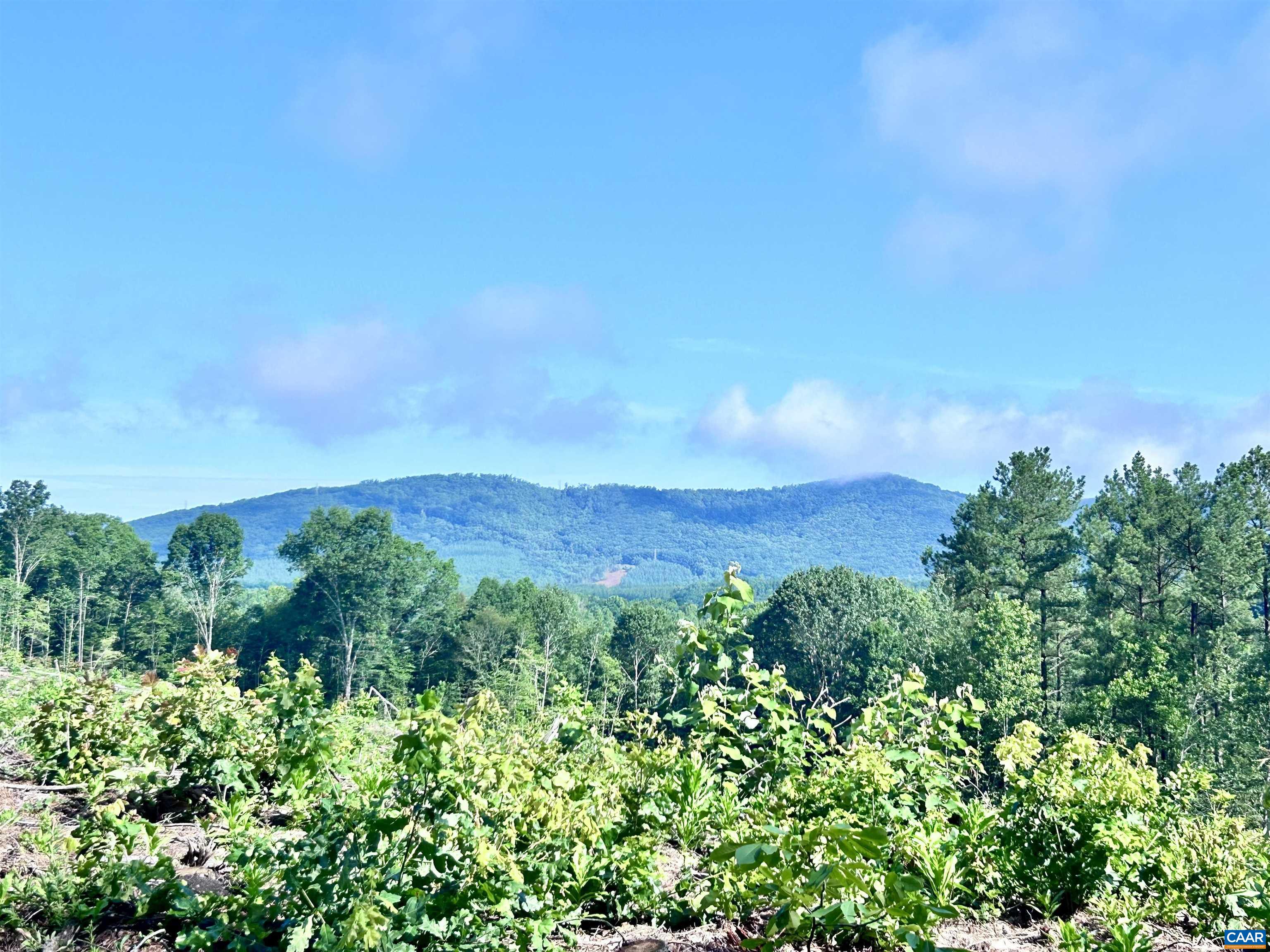 Hunting Lodge Road Schuyler, VA 22969 - Photo 60 of 66 a view of a lush green space with sea