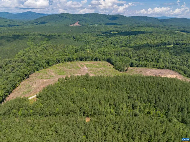 a view of a green yard with lots of green space