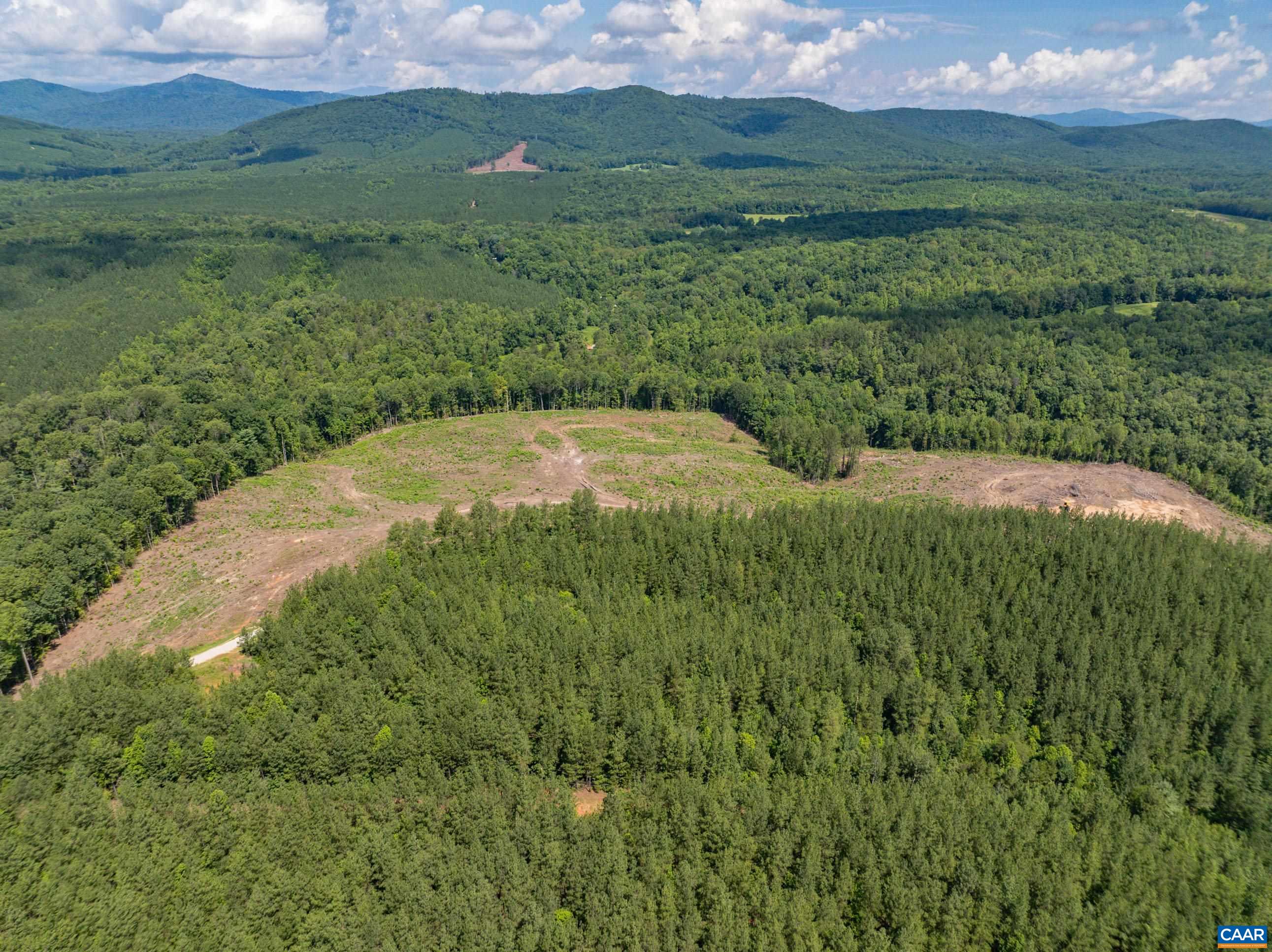 Hunting Lodge Road Schuyler, VA 22969 - Photo 6 of 66 a view of a grassy area with an trees