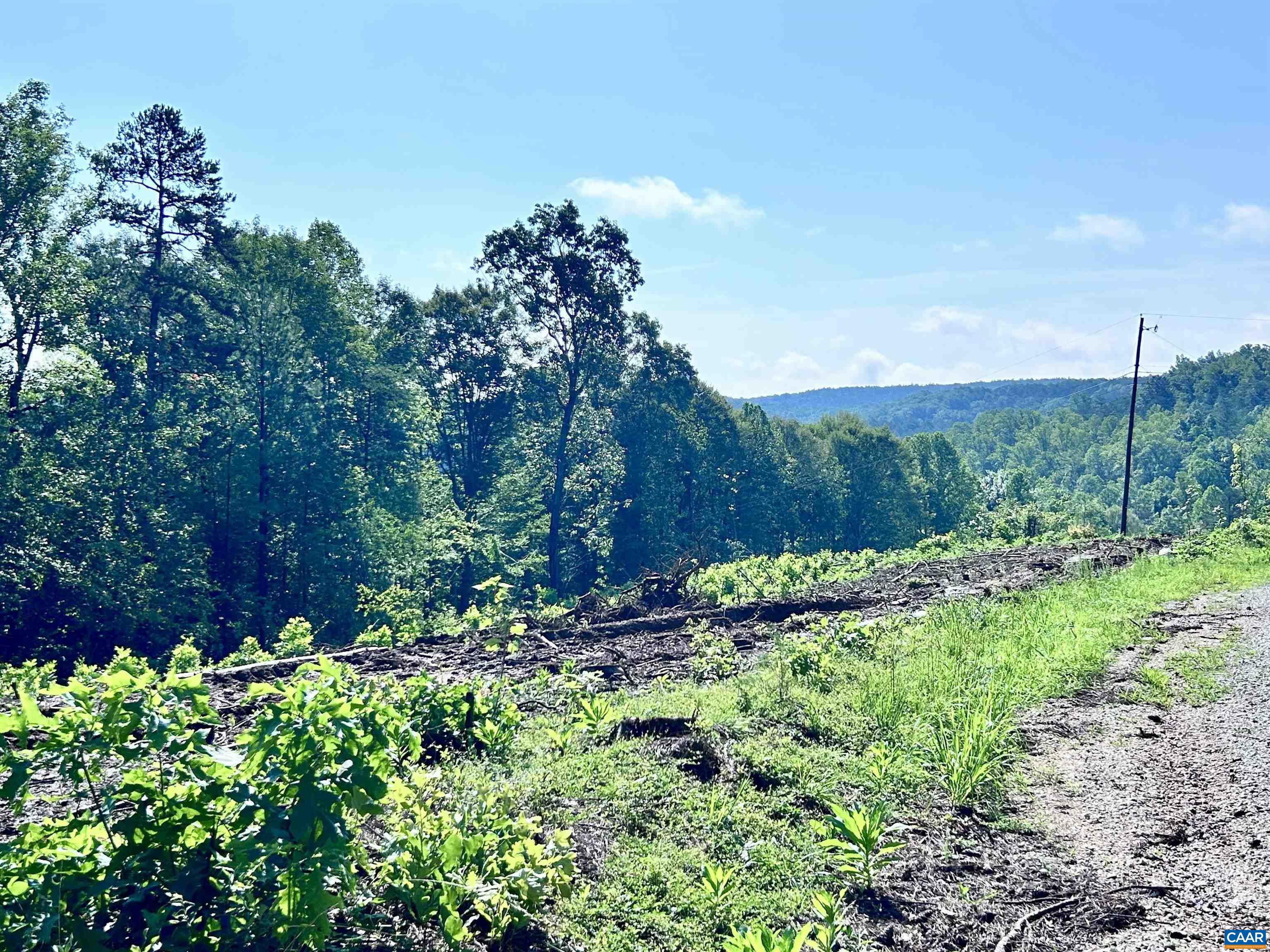 Hunting Lodge Road Schuyler, VA 22969 - Photo 61 of 66