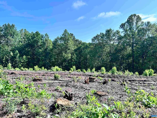 $249,900 | Hunting Lodge Road, Schuyler, VA 22969