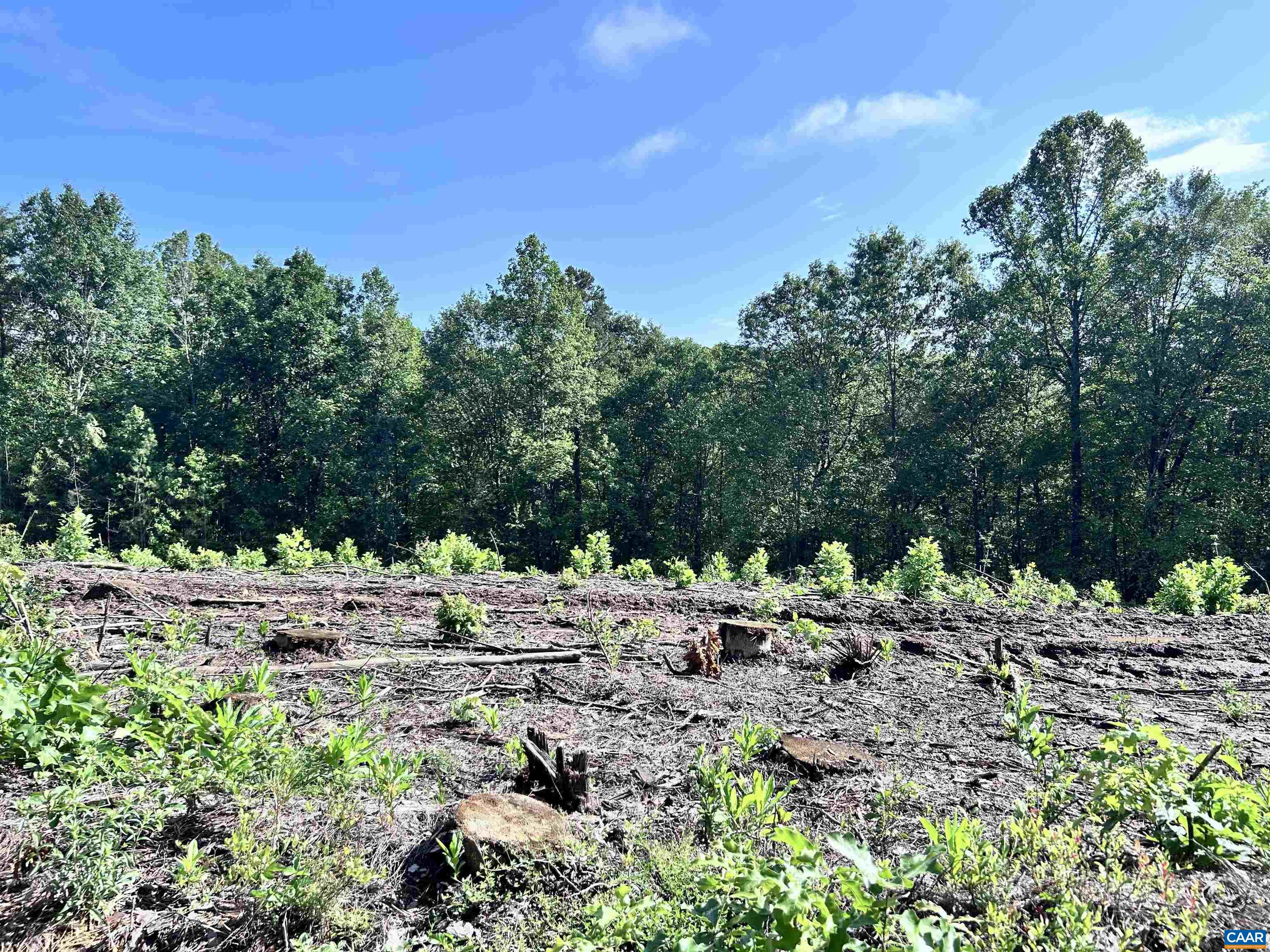 Hunting Lodge Road Schuyler, VA 22969 - Photo 62 of 66