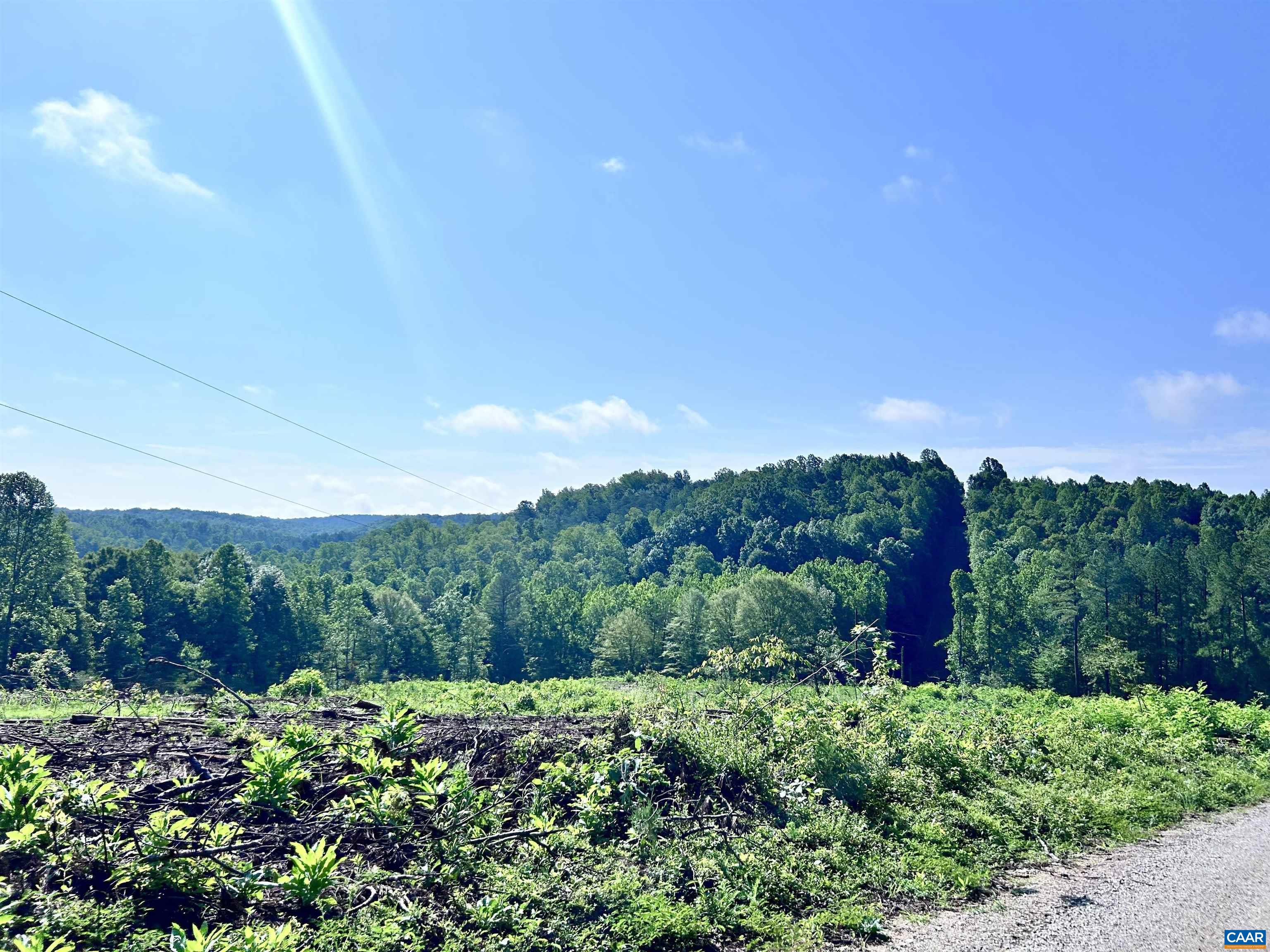 Hunting Lodge Road Schuyler, VA 22969 - Photo 63 of 66 a view of a garden