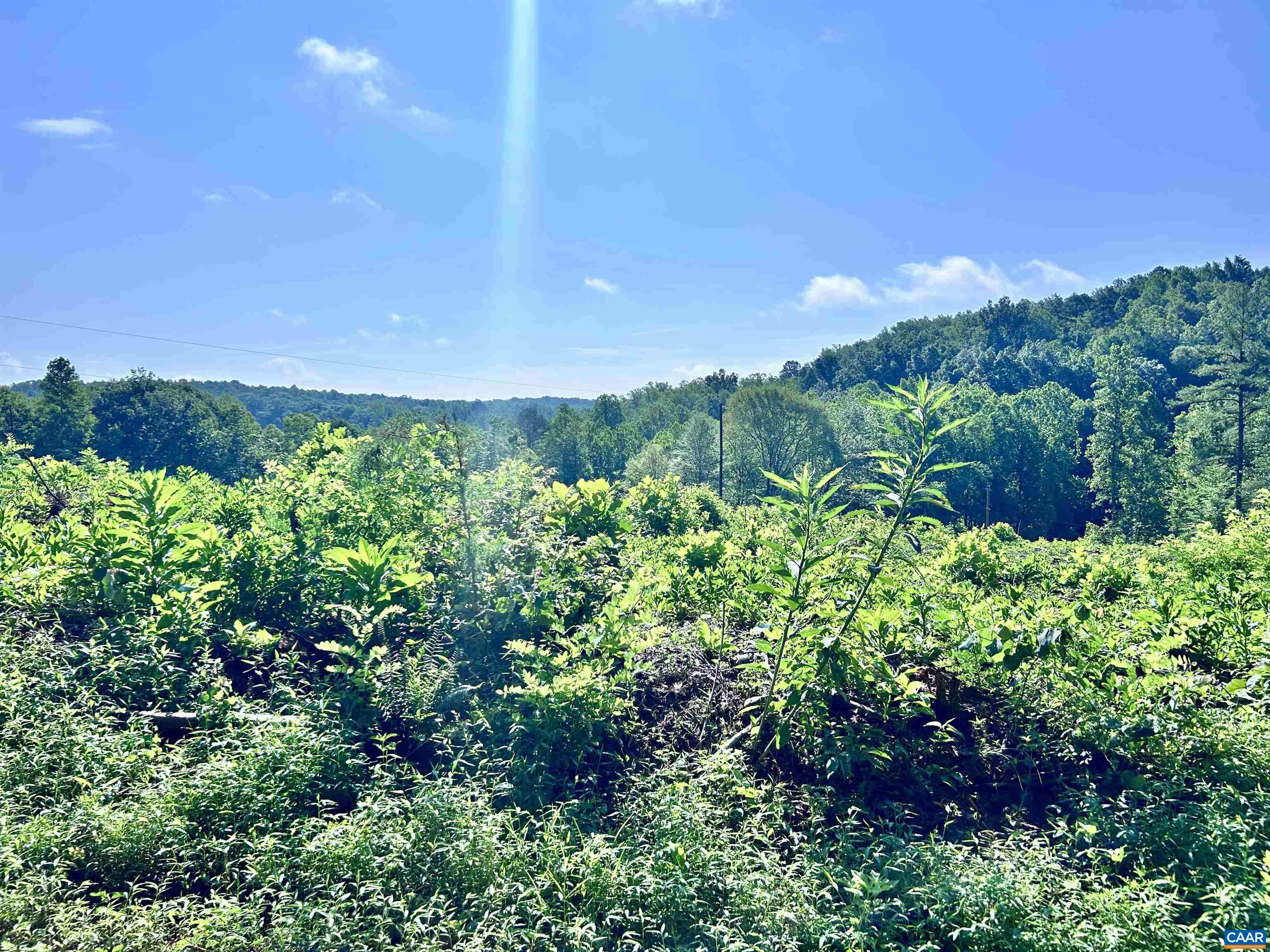 Hunting Lodge Road Schuyler, VA 22969 - Photo 64 of 66 a view of a garden