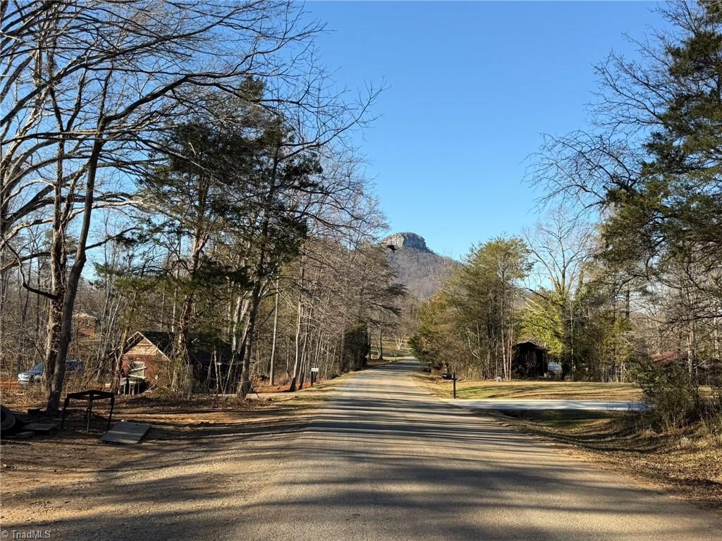 538-545 Culler Road Pinnacle, NC 27043 - Photo 4 of 12
