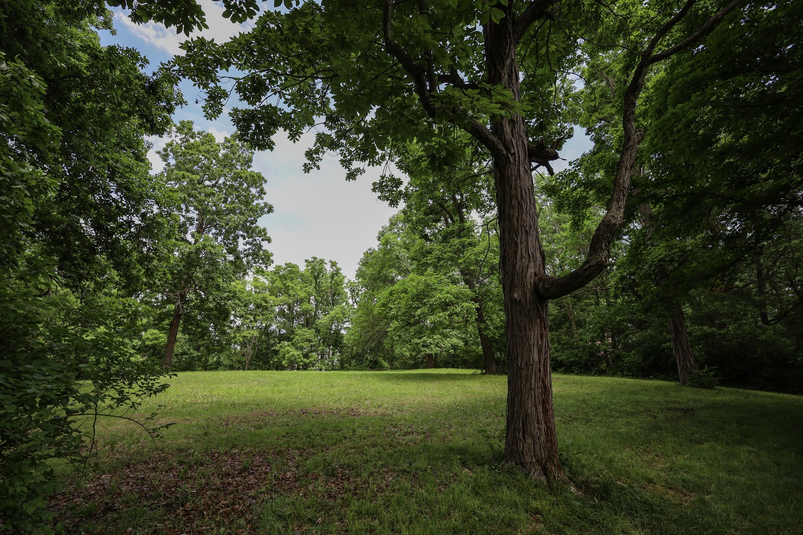 410 North Kruse Road Mount Zion, IL 62549 - Photo 4 of 6