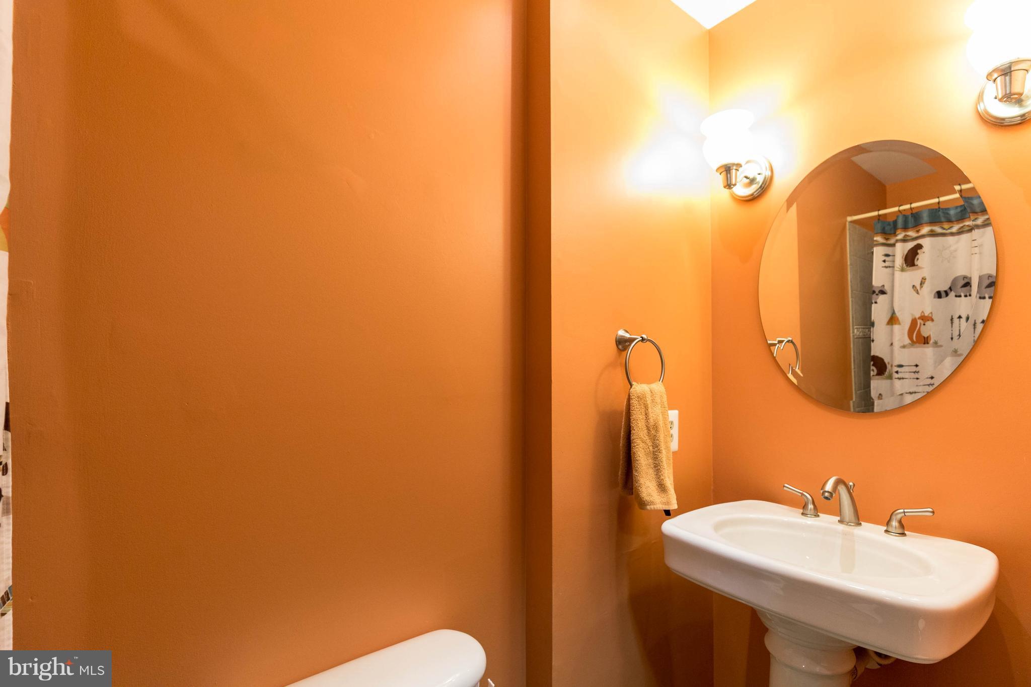 3147 Colvin Road Amissville, VA 20106 - Photo 16 of 28 Bath (Master)