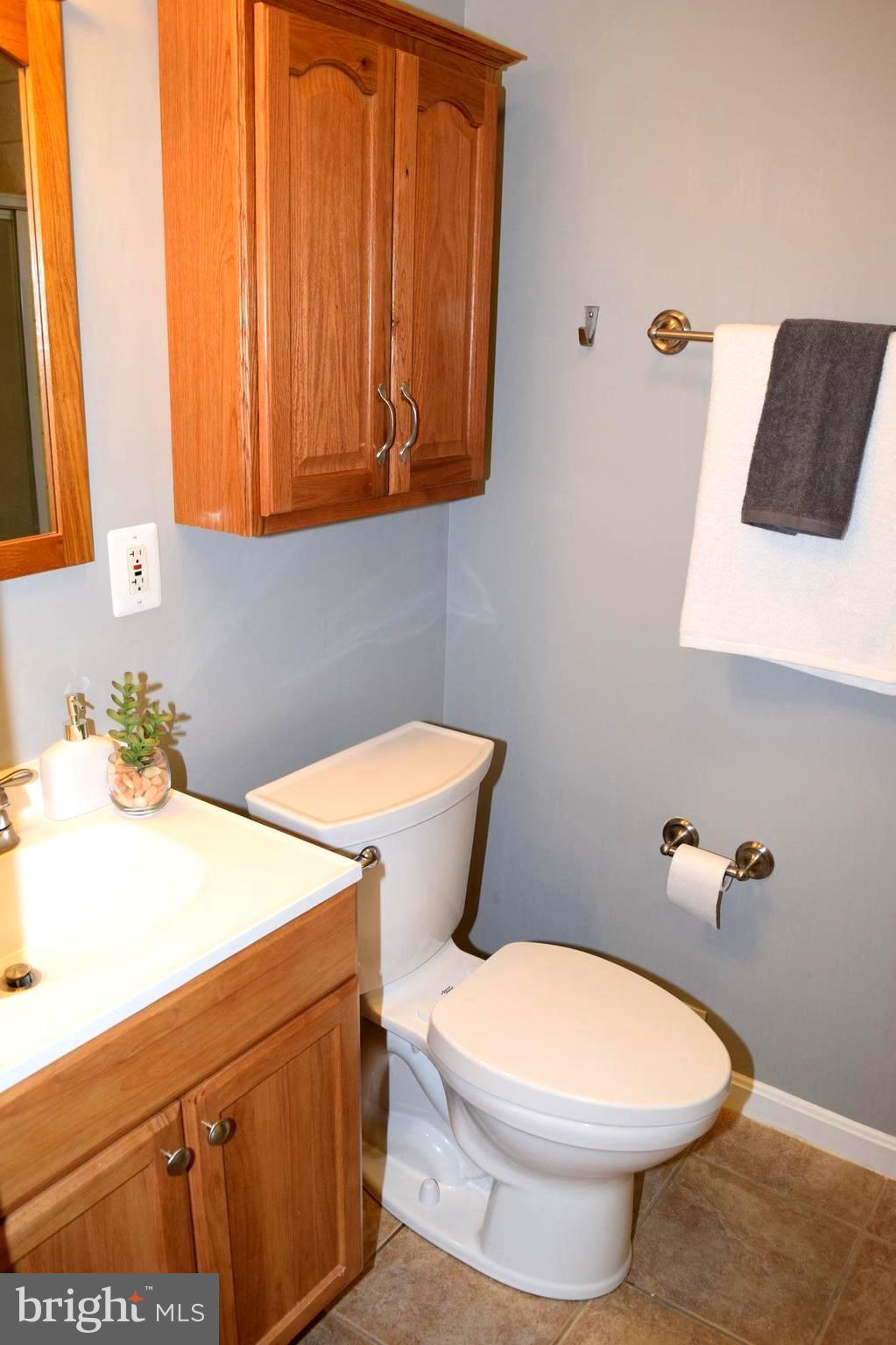 1202 Cooksie Street Baltimore, MD 21230 - Photo 17 of 23 Bath (Master)