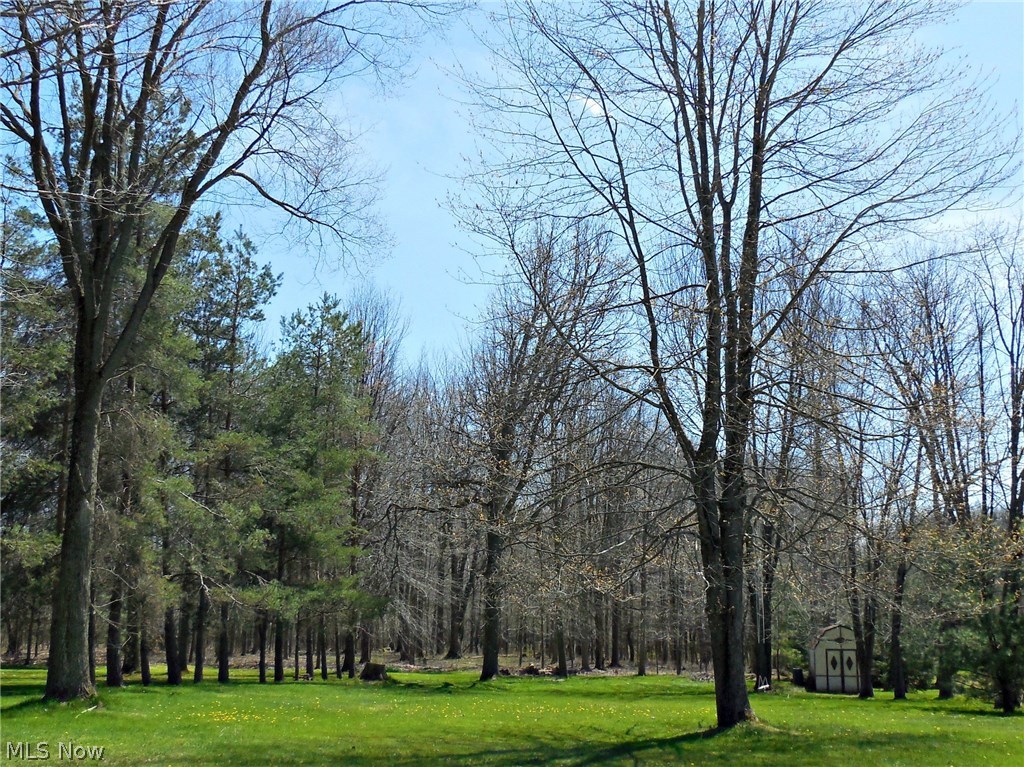 34780 Pettibone Road Solon, OH 44139 - Photo 15 of 17 Just another view!