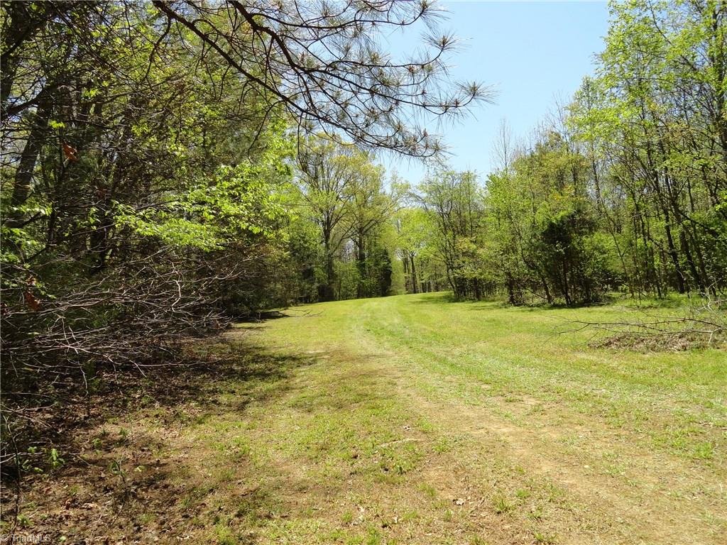 0 Hauser Road Lewisville, NC 27023 - Photo 9 of 12 Another cleared area near barn that would make a great building site