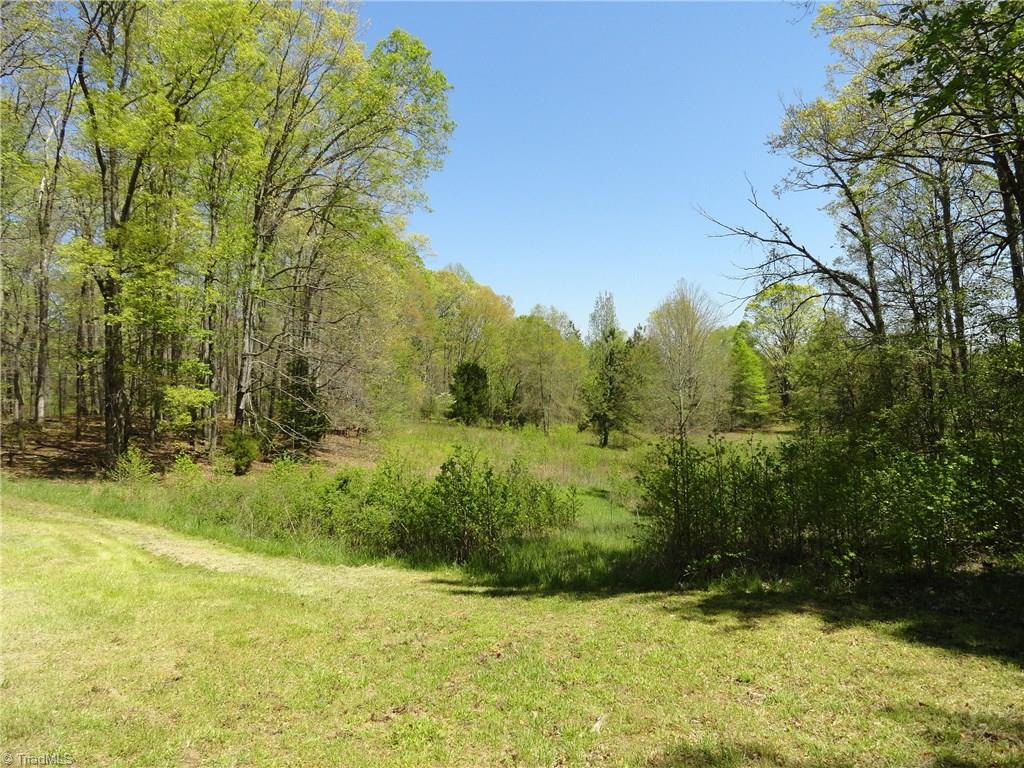 0 Hauser Road Lewisville, NC 27023 - Photo 10 of 12 Gallery Image 10