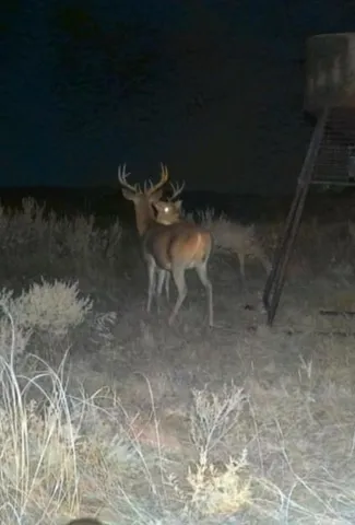 $1,095,000 | 2321 St Bellevue Tx 76228, Bellevue, TX 76228