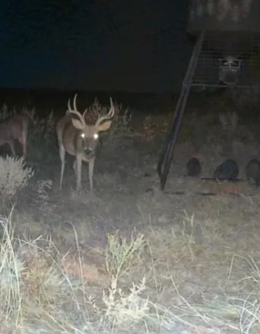 $1,095,000 | 2321 St Bellevue Tx 76228, Bellevue, TX 76228