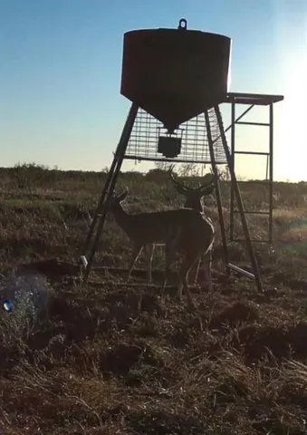 $1,095,000 | 2321 St Bellevue Tx 76228, Bellevue, TX 76228