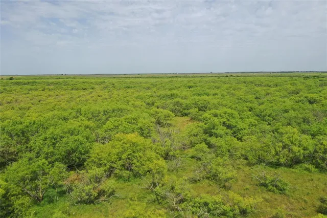 $1,095,000 | 2321 St Bellevue Tx 76228, Bellevue, TX 76228