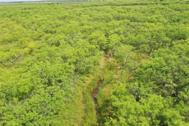 $1,095,000 | 2321 St Bellevue Tx 76228, Bellevue, TX 76228