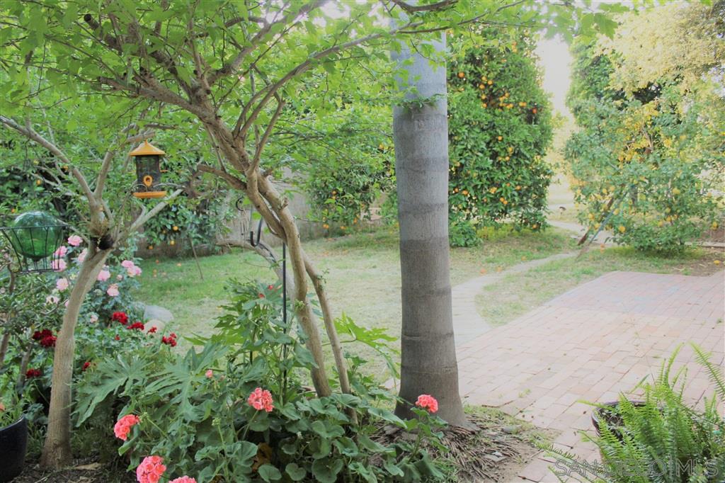 15950 Mactan Road Valley Center, CA 92082 - Photo 17 of 25 a view of a flower in a garden