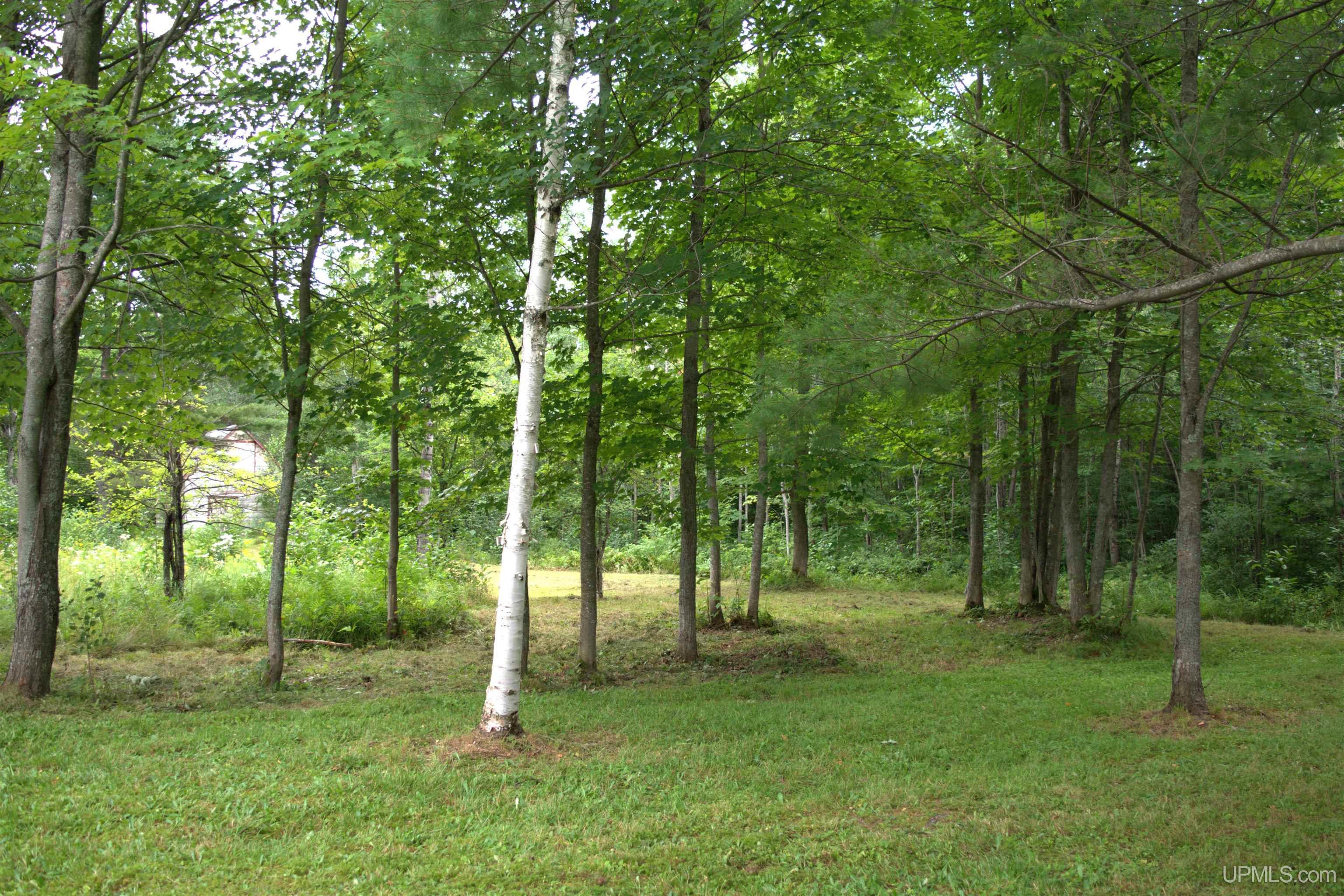 24411 Upper Point Mills Road Hancock, MI 49930 - Photo 59 of 74
