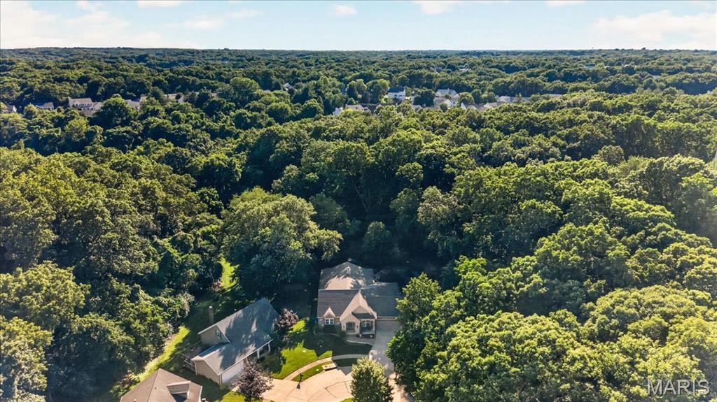 884 Village Brook Court Ballwin, MO 63021 - Photo 60 of 63