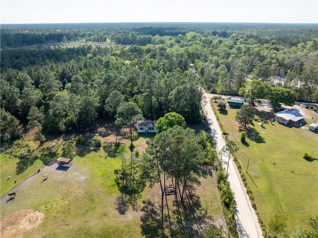 8604 Randall Crews Road Hoboken, GA 31542 - Photo 24 of 25