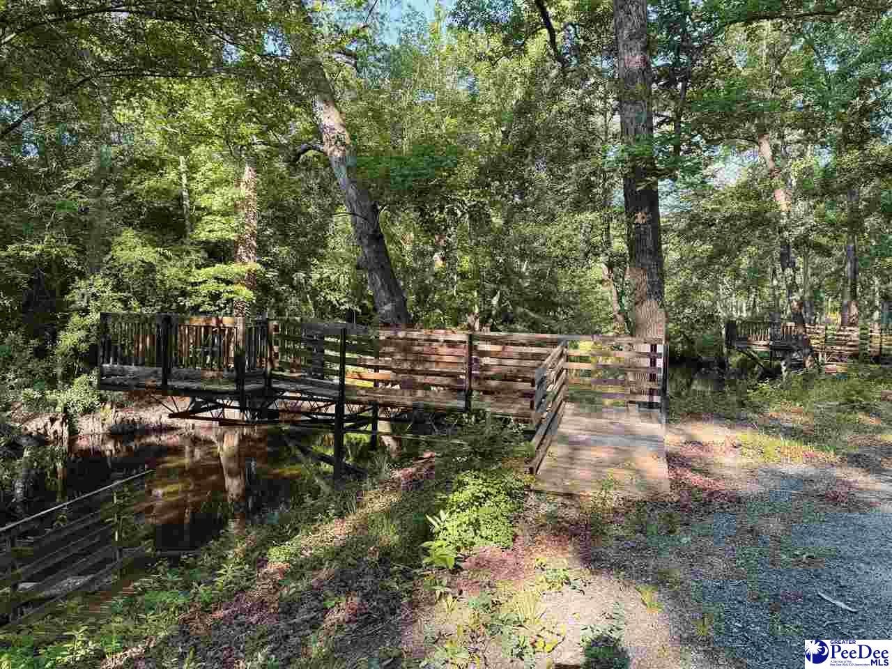 60-acres West Freight Road Florence, SC 29501 - Photo 3 of 27 Gallery Image 3