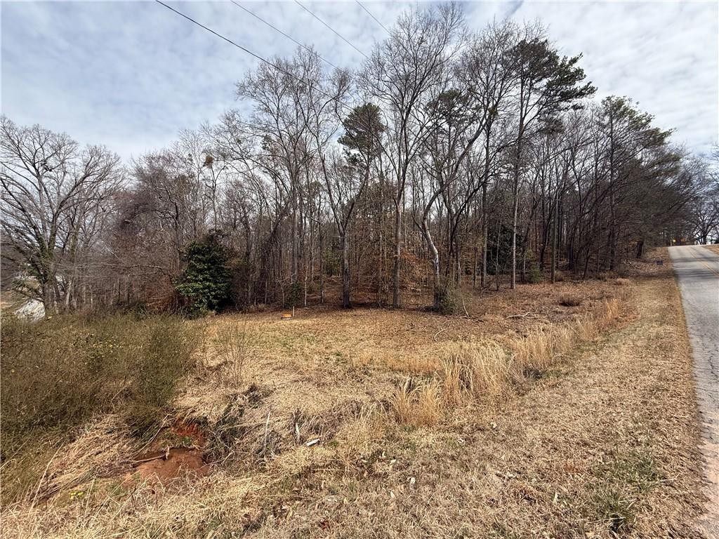 0 North Walnut Street Seneca, SC 29678 - Photo 2 of 12 Mature trees and a gently sloping roadside define this expansive lot.