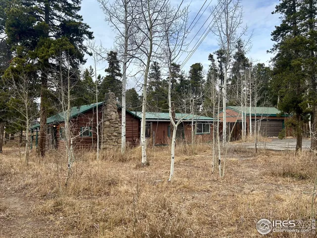 a view of small pond with trees in the background
