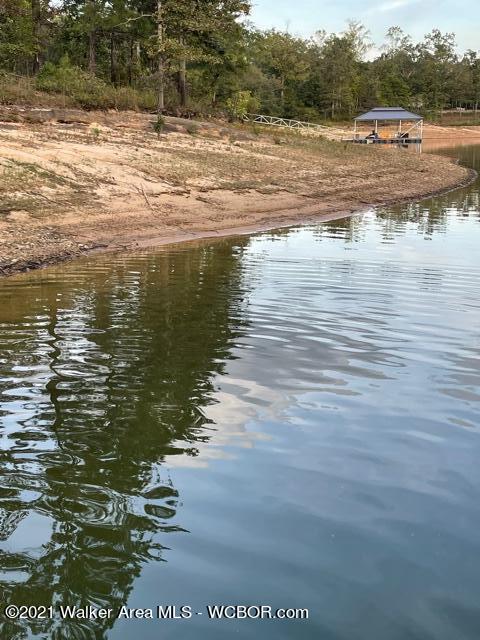 2 Edgewater Bend Arley, AL 35541 - Photo 4 of 5 Gallery Image 4