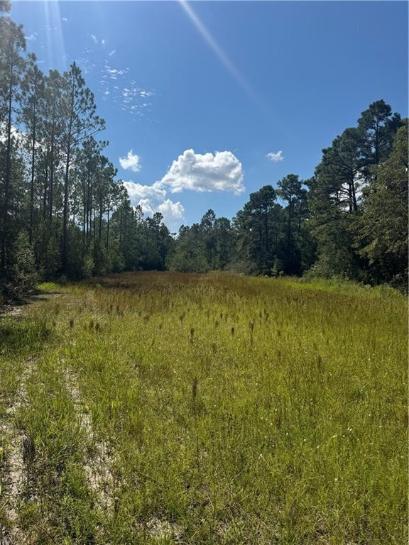 1603 Dl Durrence Road Reidsville, GA 30453 - Photo 14 of 31 Photo 14