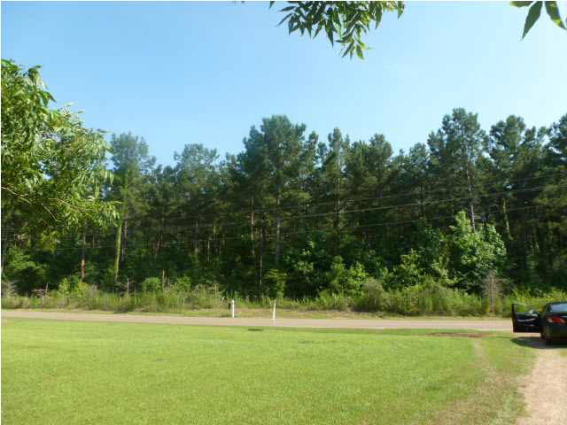 536 Ratliff Ferry Road Canton, MS 39046 - Photo 17 of 17 Photo 17