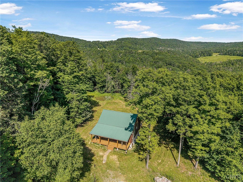 4902 Mcmaster Road Cameron, NY 14819 - Photo 1 of 49