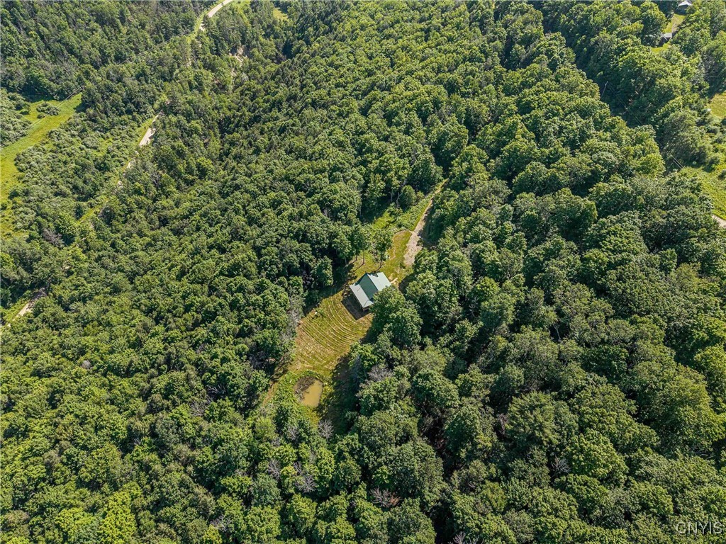 4902 Mcmaster Road Cameron, NY 14819 - Photo 3 of 49