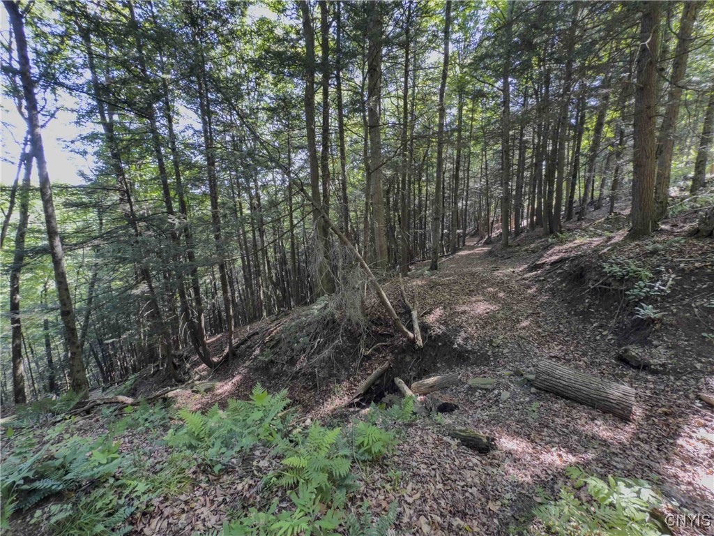 4902 Mcmaster Road Cameron, NY 14819 - Photo 35 of 49