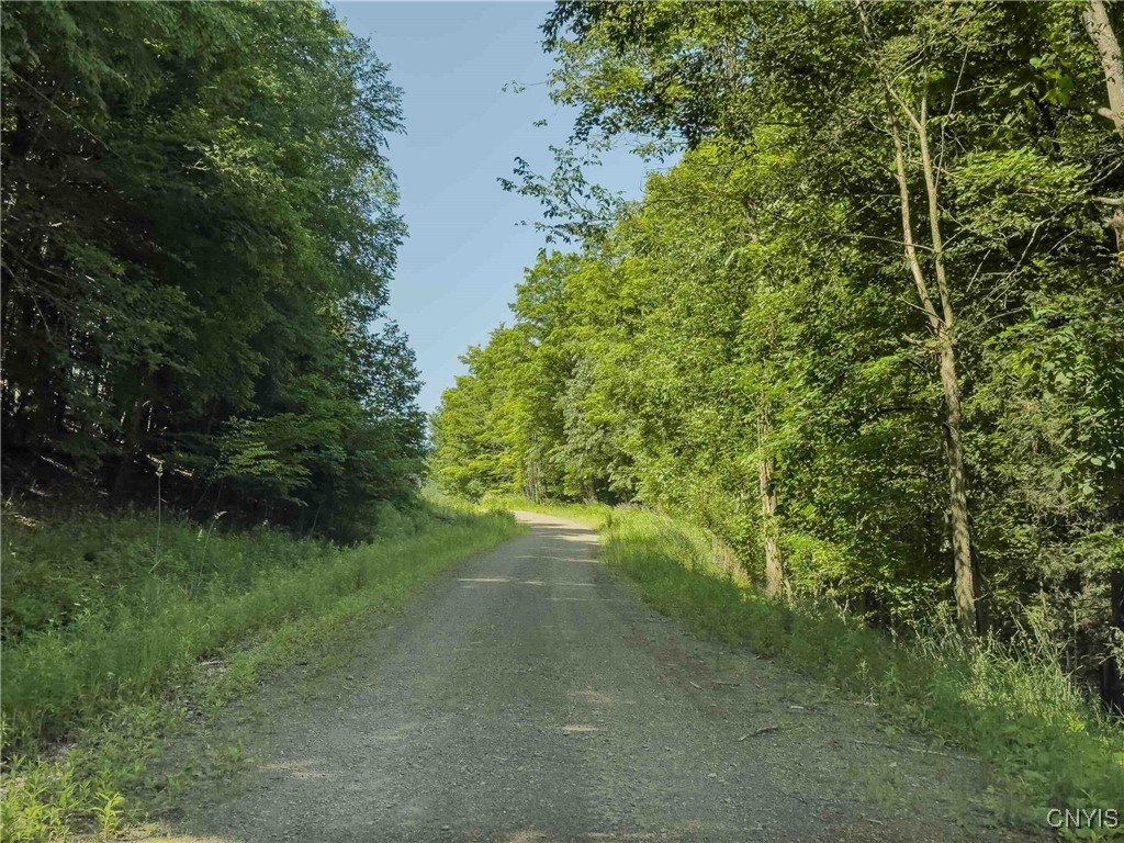 4902 Mcmaster Road Cameron, NY 14819 - Photo 36 of 49