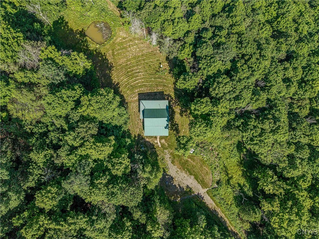 4902 Mcmaster Road Cameron, NY 14819 - Photo 41 of 49