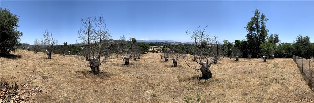 0 Hamilton Lane Fallbrook, CA 92028 - Photo 13 of 15