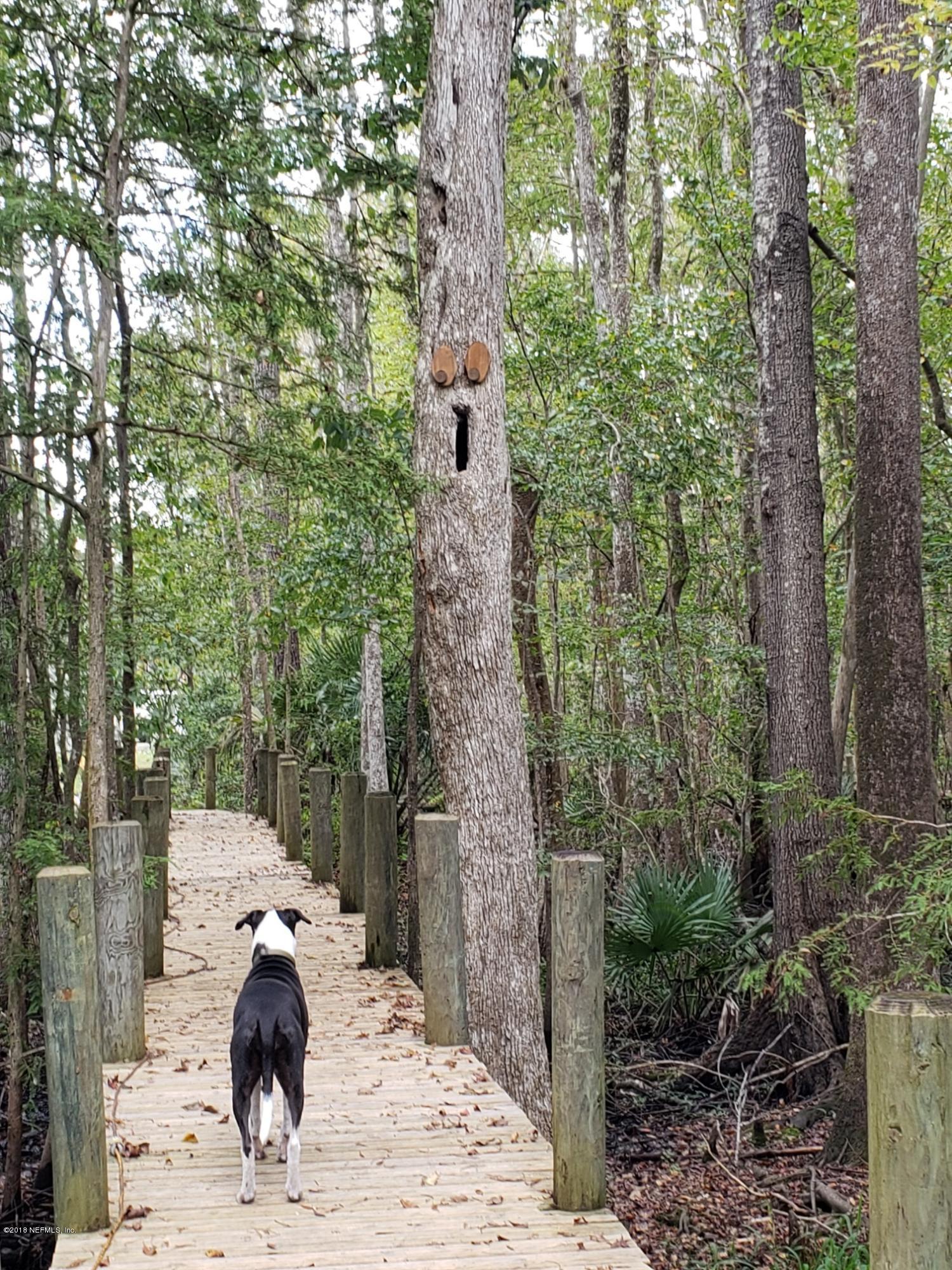 108 Ross Road Satsuma, FL 32189 - Photo 30 of 56 wooden walk way