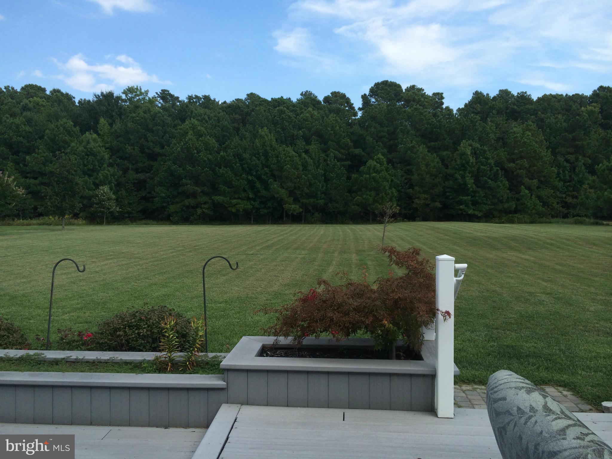 6655 Reeses Pride Road Sherwood, MD 21665 - Photo 6 of 30 Back Yard View