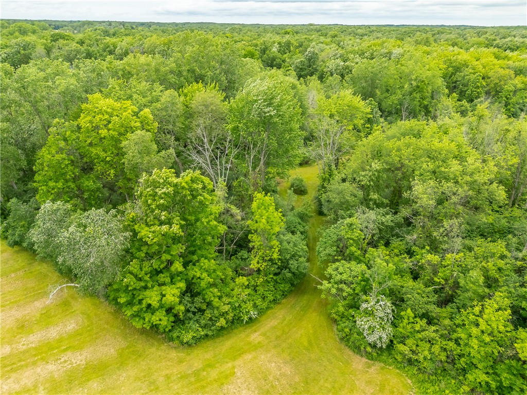 894 Ladue Road Sweden, NY 14420 - Photo 9 of 15