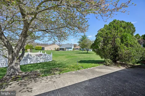 a view of a park with large trees